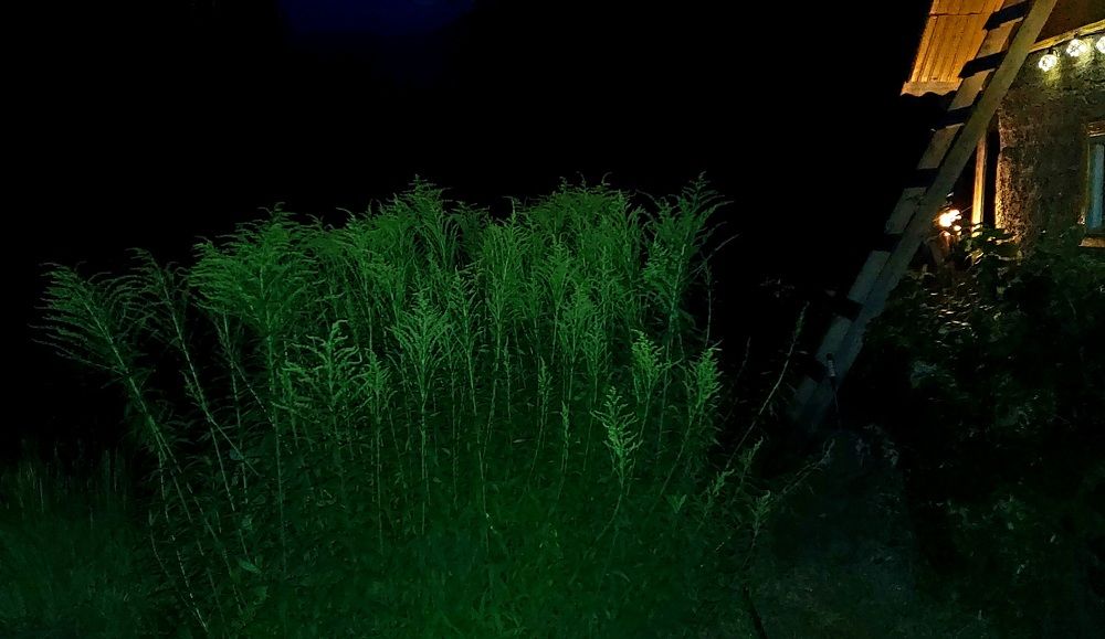 Photograph by Наталия Степовая