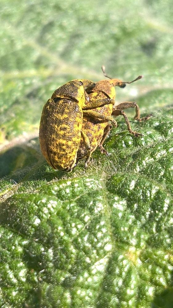 Photograph by Олеся Купча