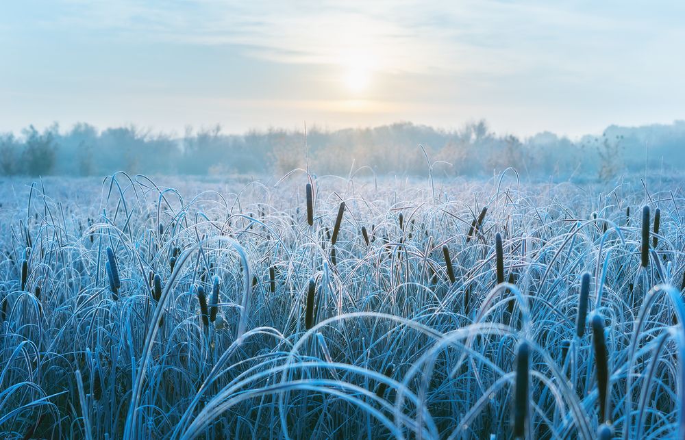 Photograph by Игорь Кляхин