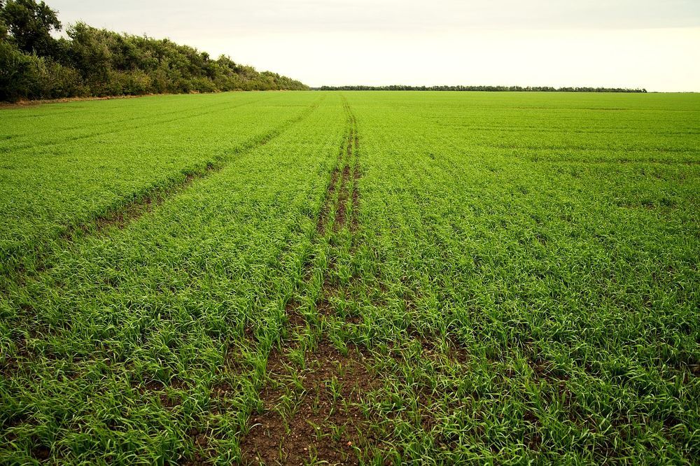 Photograph by Юрий Варюхин