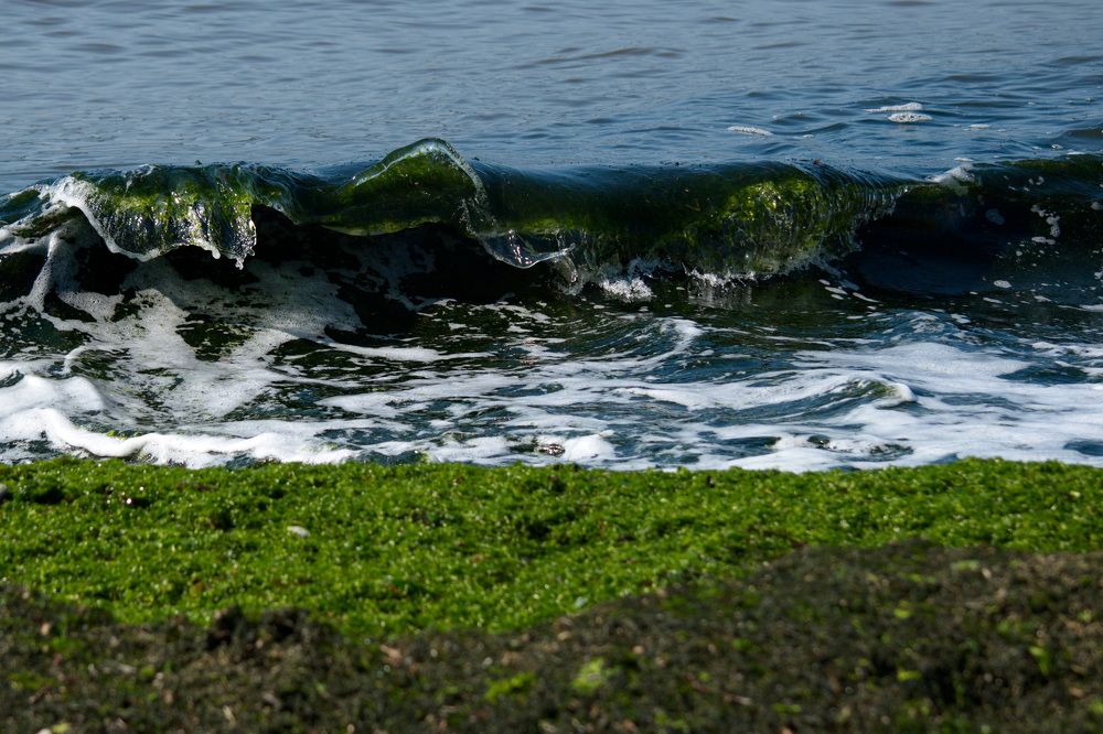 Photograph by Елена Ласун