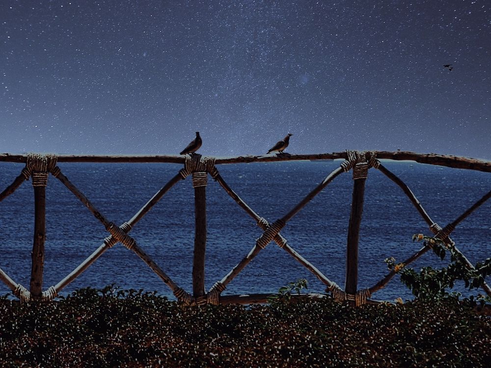 Photograph by Tatsiana Khinevich