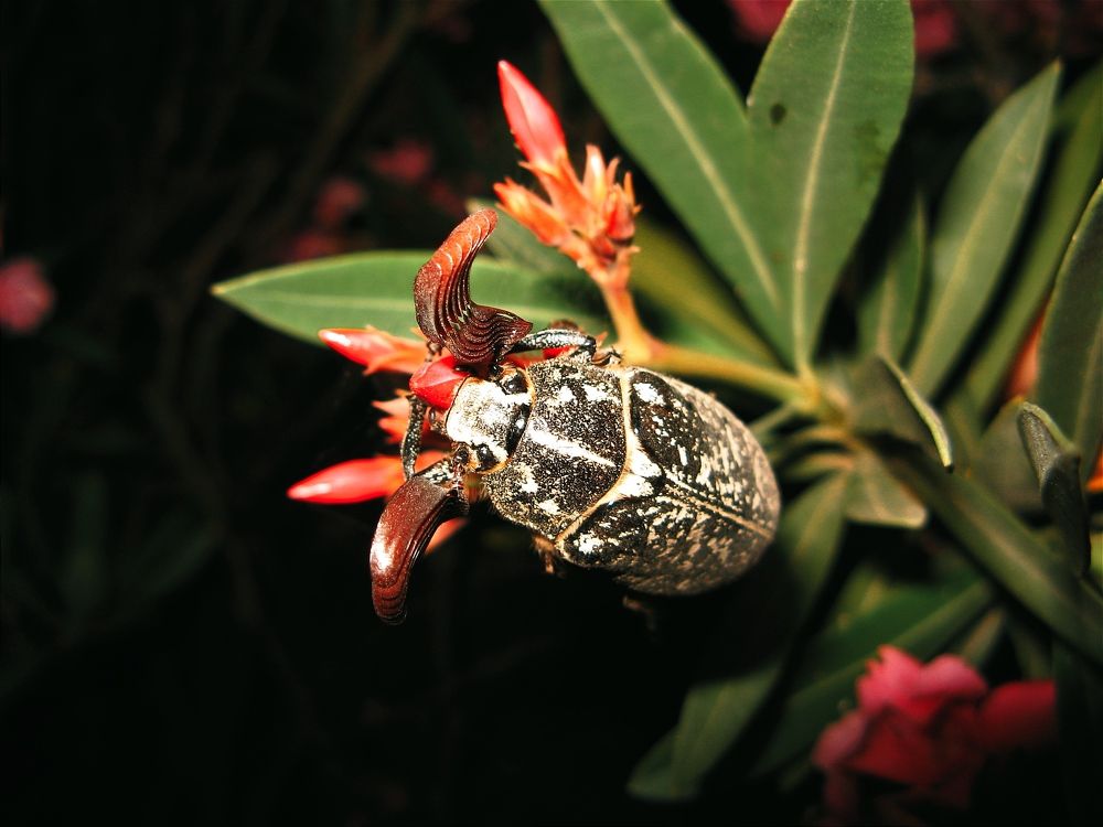 Photograph by Tatsiana Khinevich