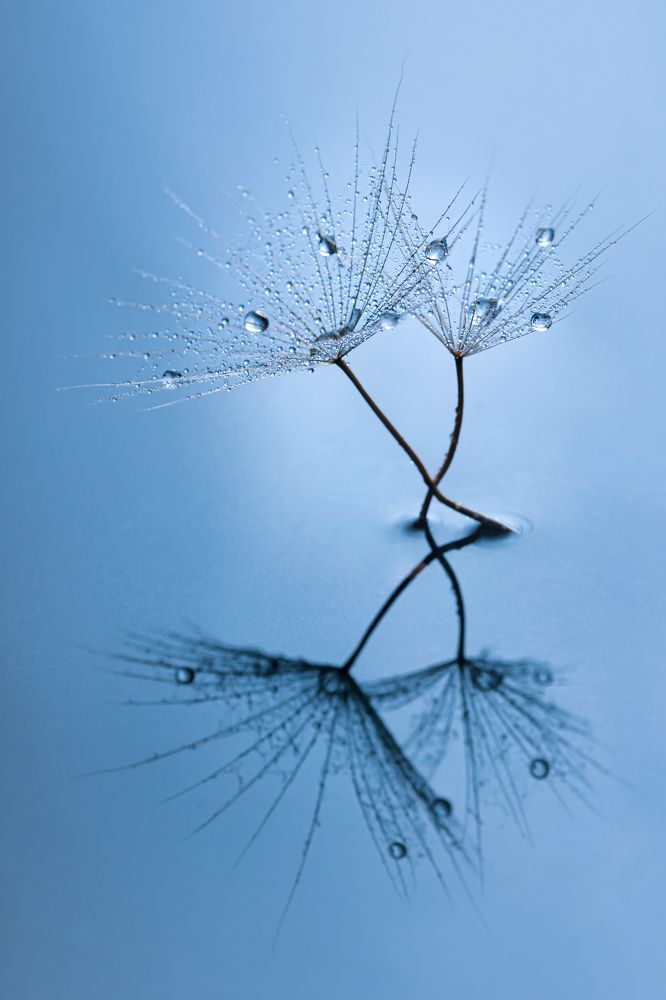 Фотография автора Summerlin