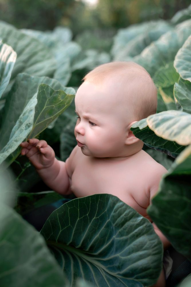 Photograph by Наталия Мамонова