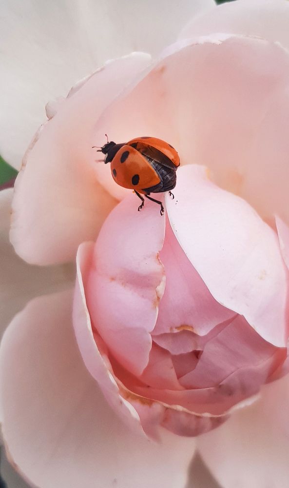 Photograph by Ольга