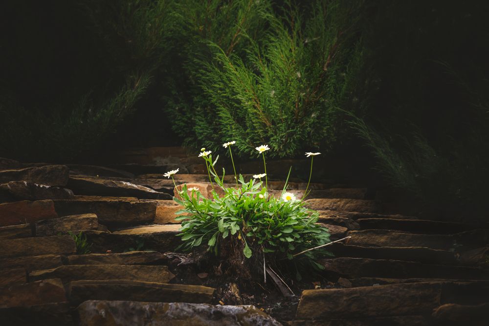 Photograph by Кирилл Богомазов