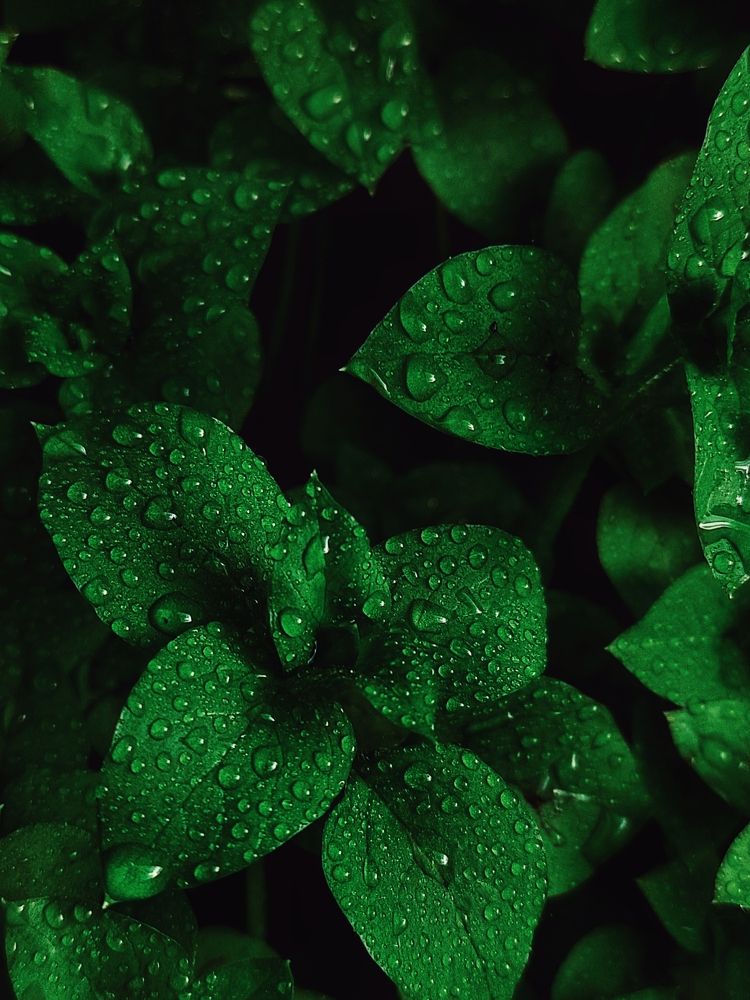 Photograph by Ксения Олина