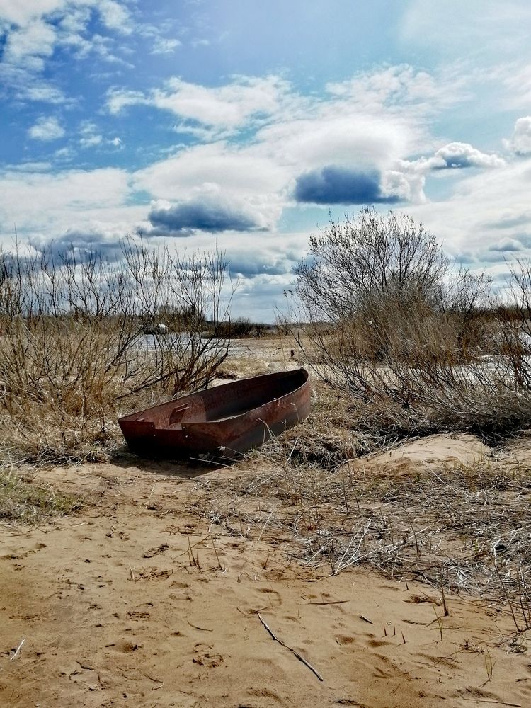 Photograph by Галина Смирнова