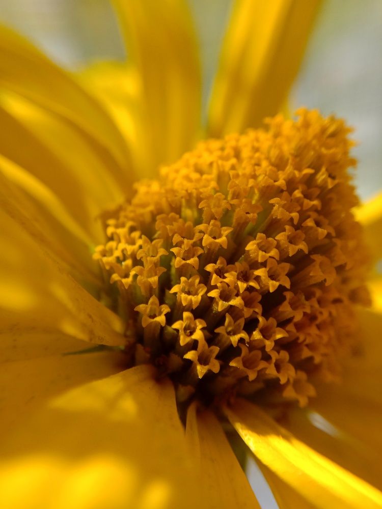 Photograph by Снежана Шепель