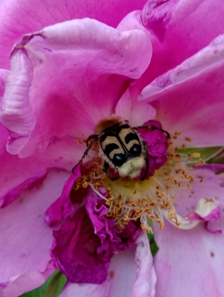 Photograph by Снежана Шепель