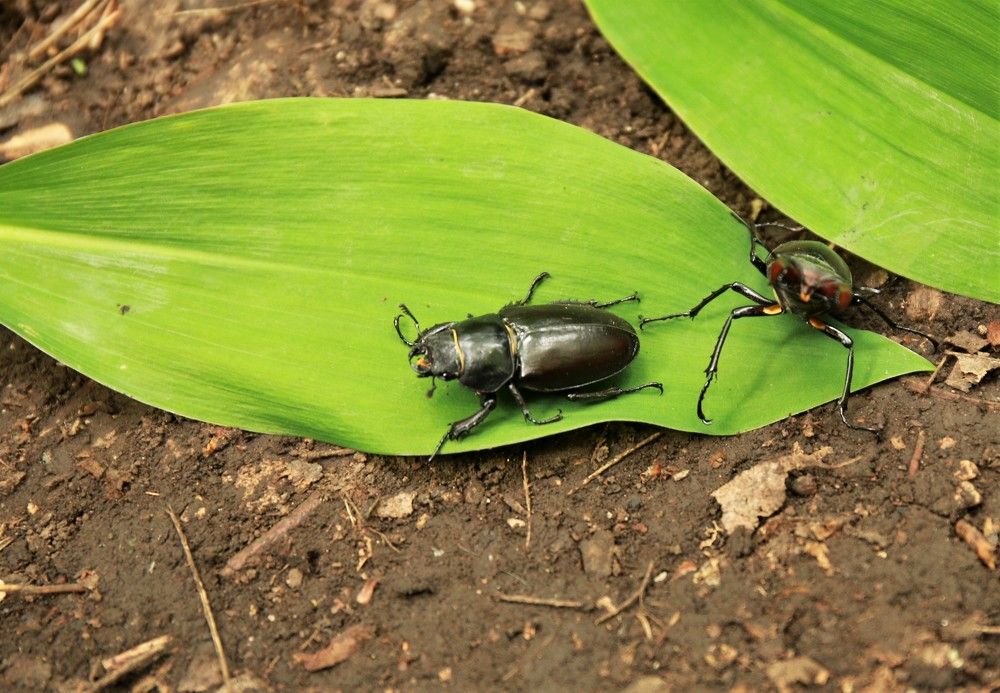 Photograph by Марина Юрченко