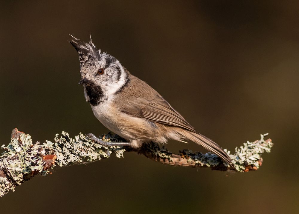 Photograph by Павел Краснослободцев
