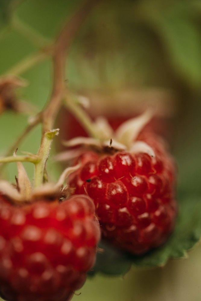 Photograph by Екатерина Гайдук