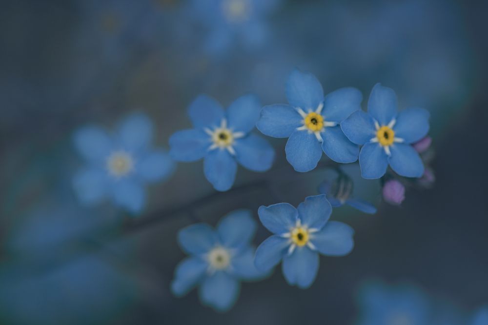 Photograph by Елена Рубинская