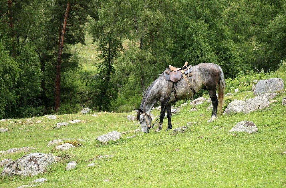 Photograph by Марина Юрченко