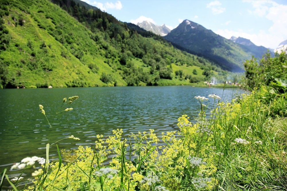 Photograph by Марина Юрченко