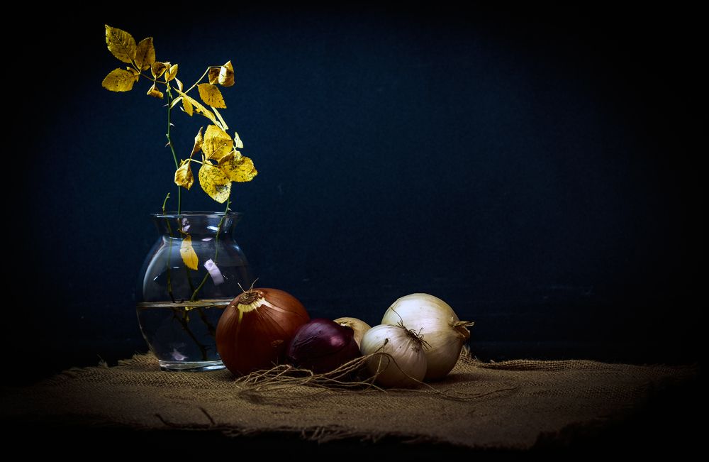 Photograph by Alex Kalpus