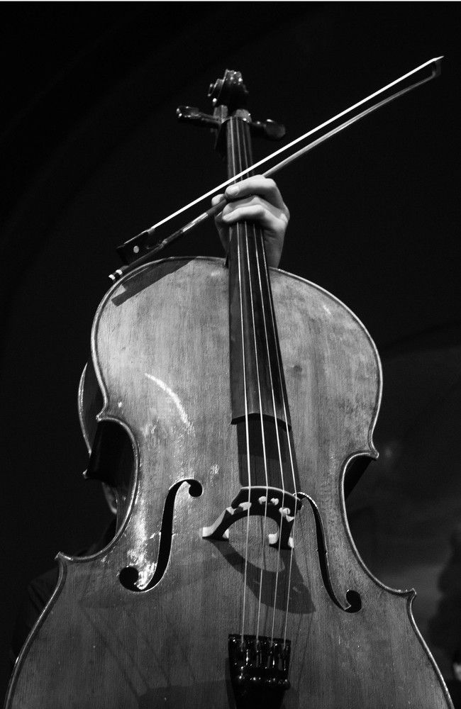 Photograph by Прохор Бездорнов