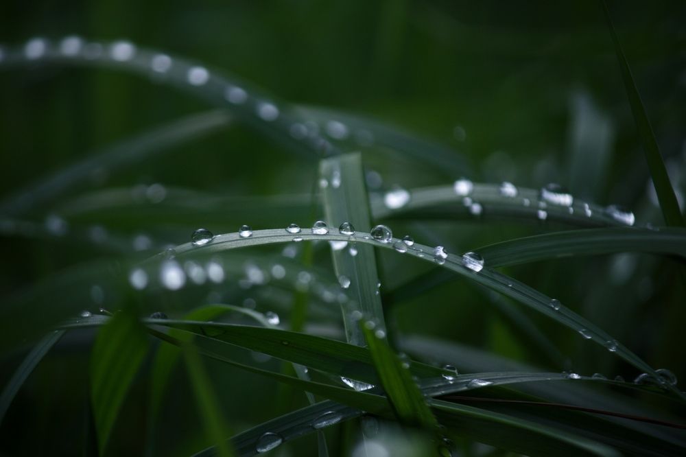 Photograph by Виктория Эверстова