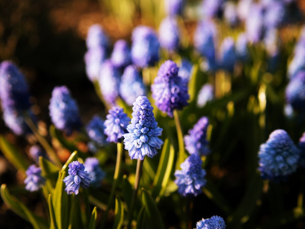 Photograph by Татьяна Кучерова