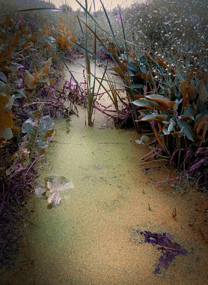 Photograph by Ольга Бакурская