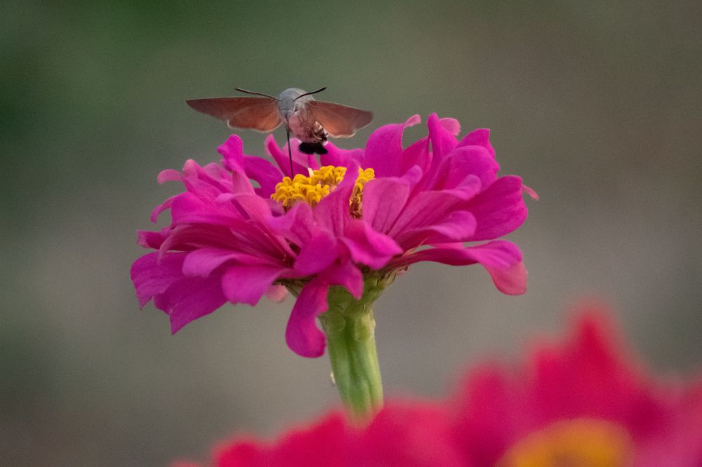 Photograph by Елена Бледных