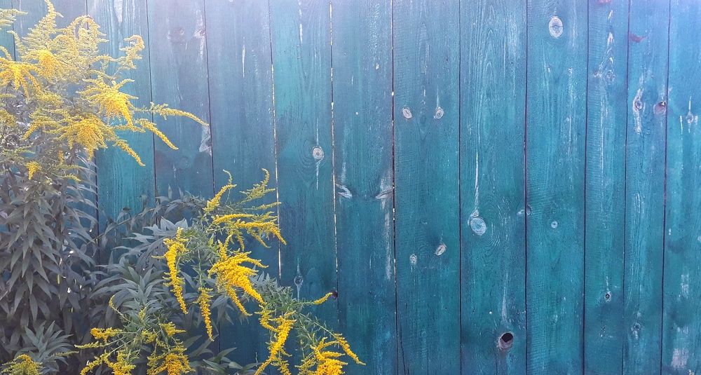 Photograph by Кристина Шляхова