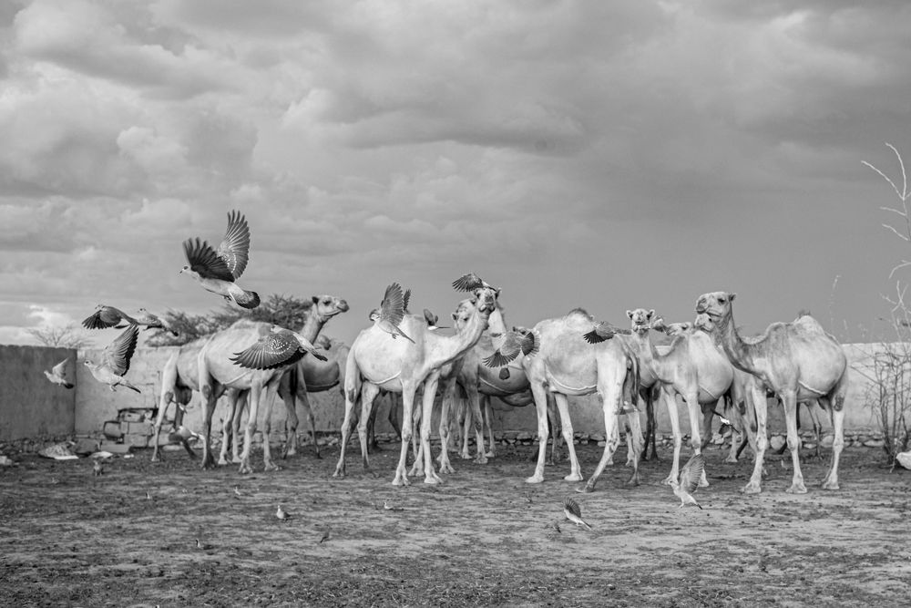 Photograph by Eduardo Moreno