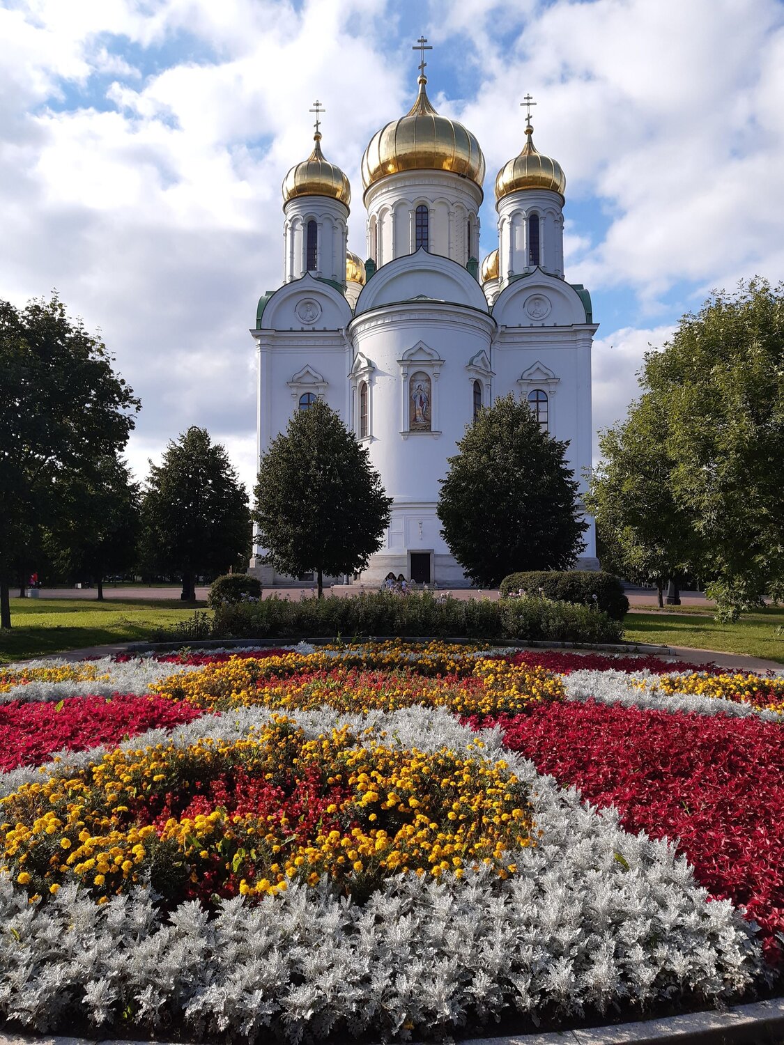 Photo #8037485
