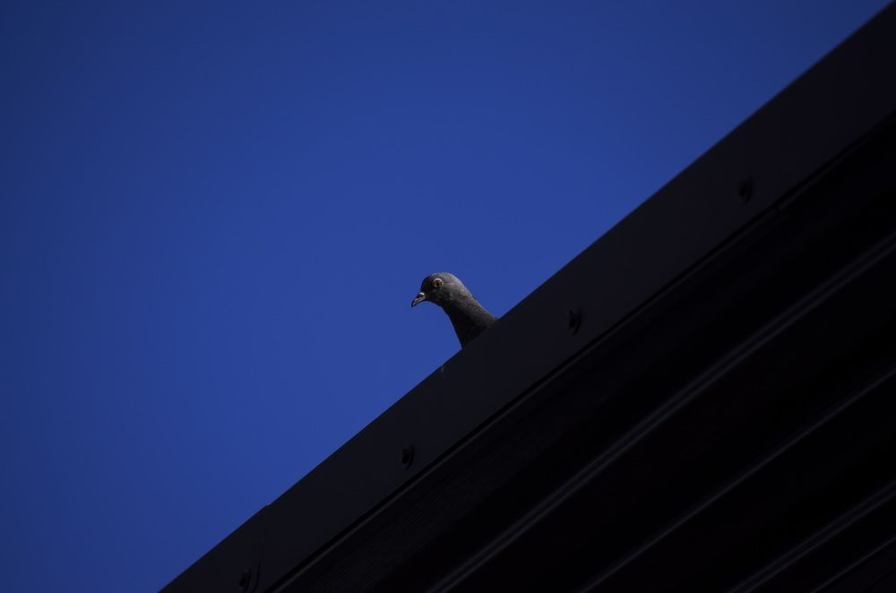 Photograph by Farkhad