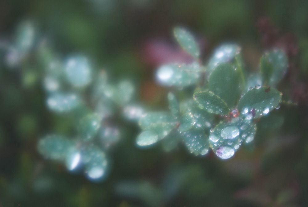 Photograph by Александр Гончаренко