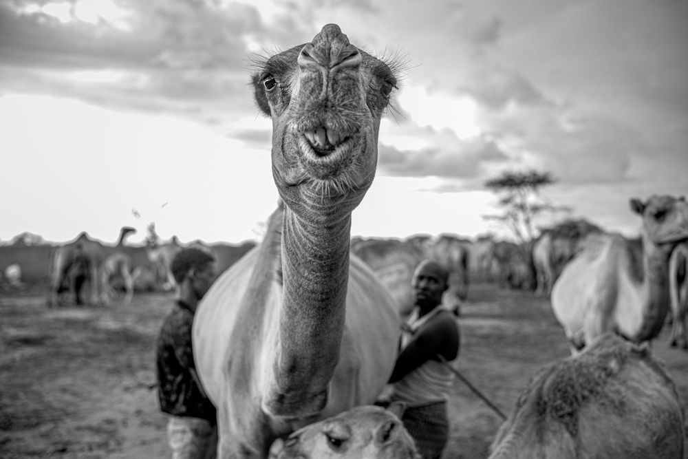 Photograph by Eduardo Moreno
