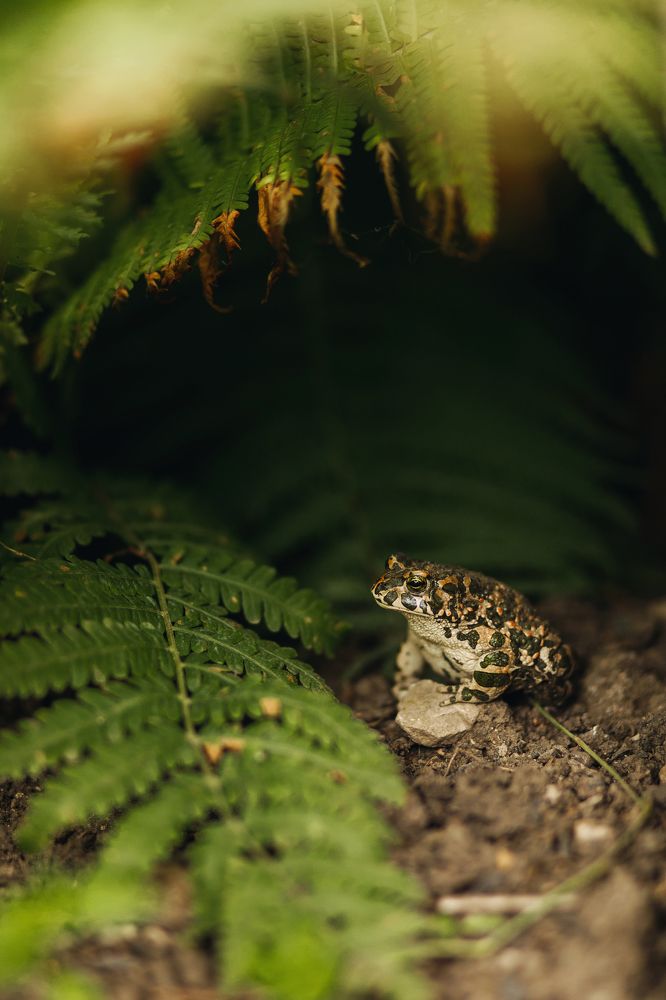 Фотография автора Волошин Артем