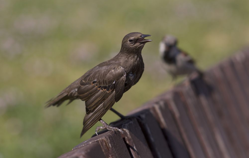 Photograph by Юлия Зеляник