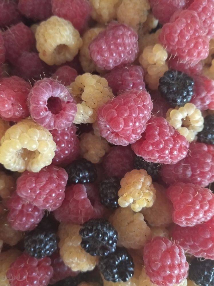 Photograph by Елена Коробченко