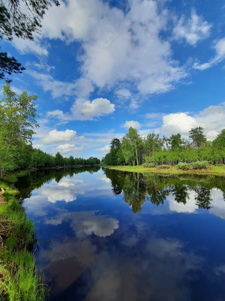 Photograph by Людмила Е.