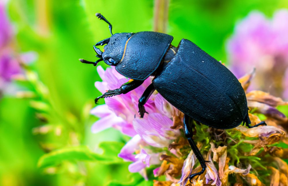 Photograph by Виталий Слёзка