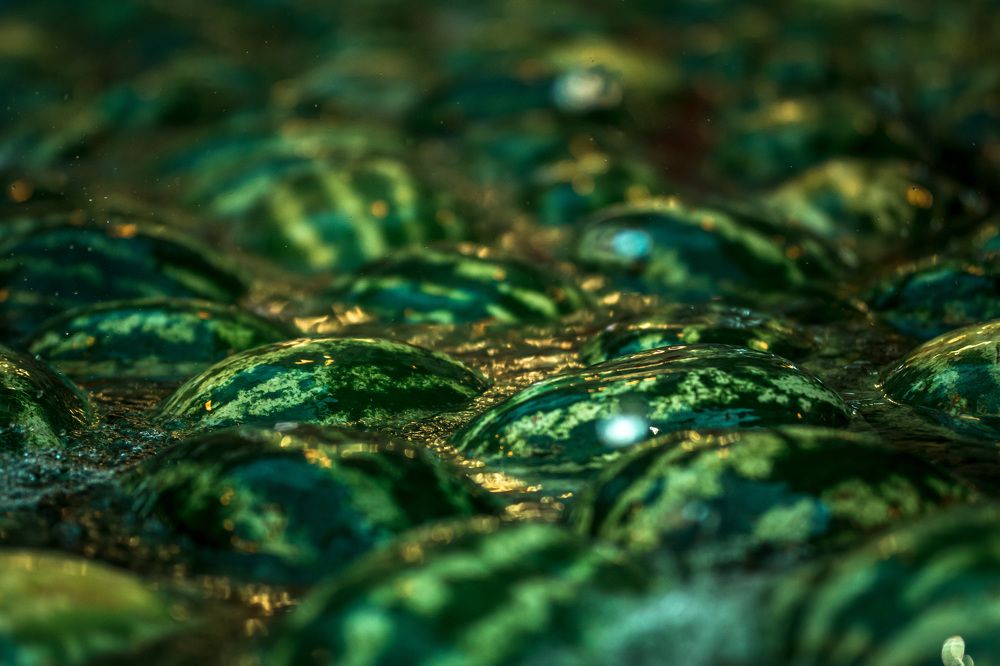 Photograph by Юлия Галлямова
