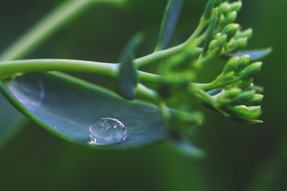 Фотография автора Данила Николюкин