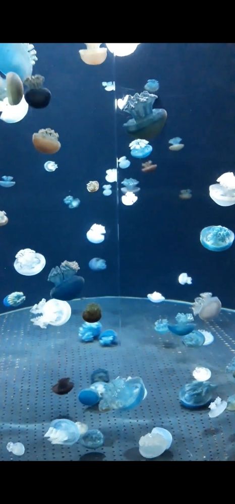 Фотография автора Larisa Tabachnik