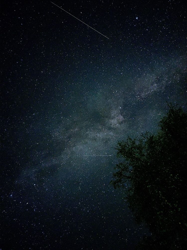 Photograph by T.Ю. Гринько