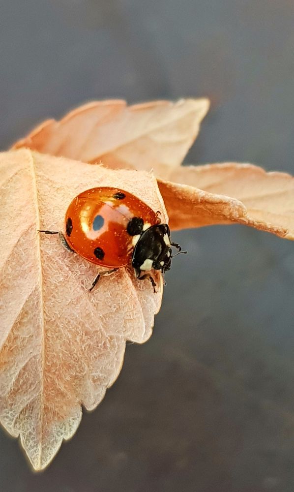 Photograph by Ольга