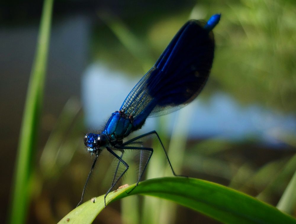 Photograph by Валерий Савостьянов