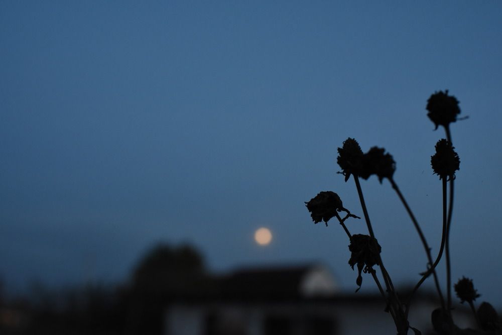 Photograph by Ада Авдонина