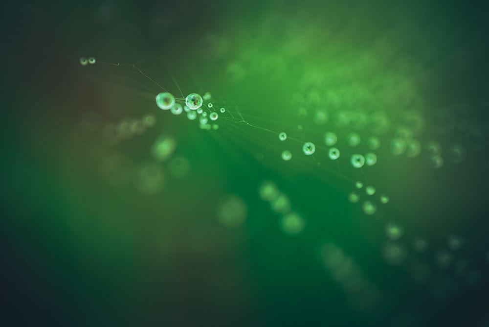 Фотография автора Алиса Чурчудесная