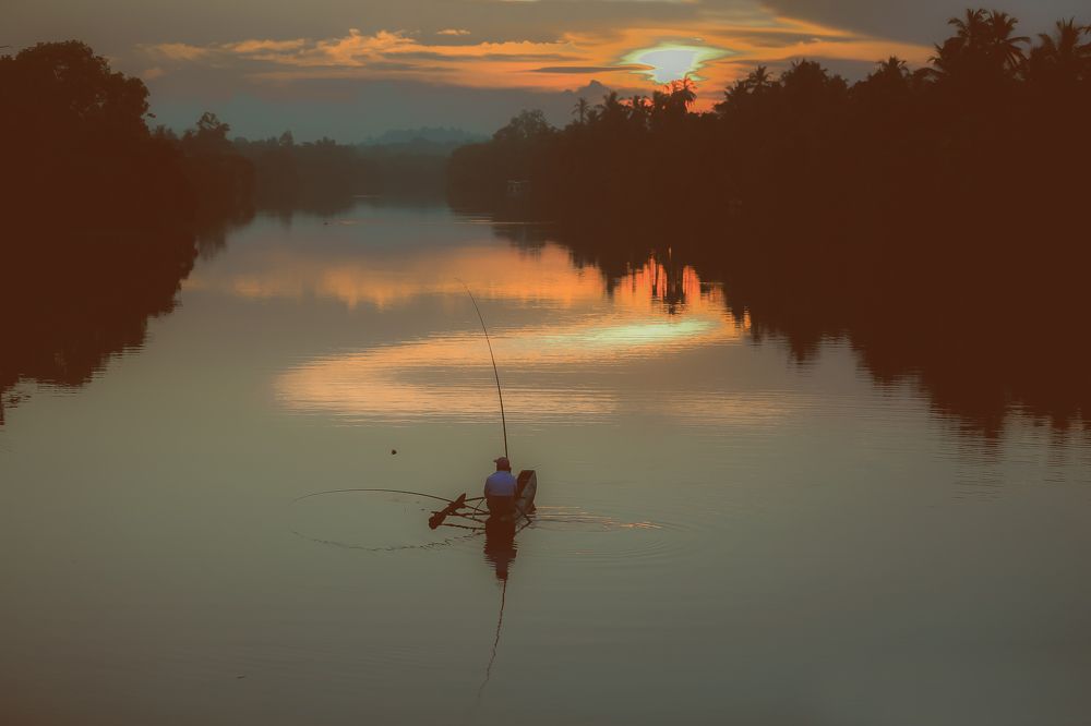 Photograph by prabath manjula gunasekara
