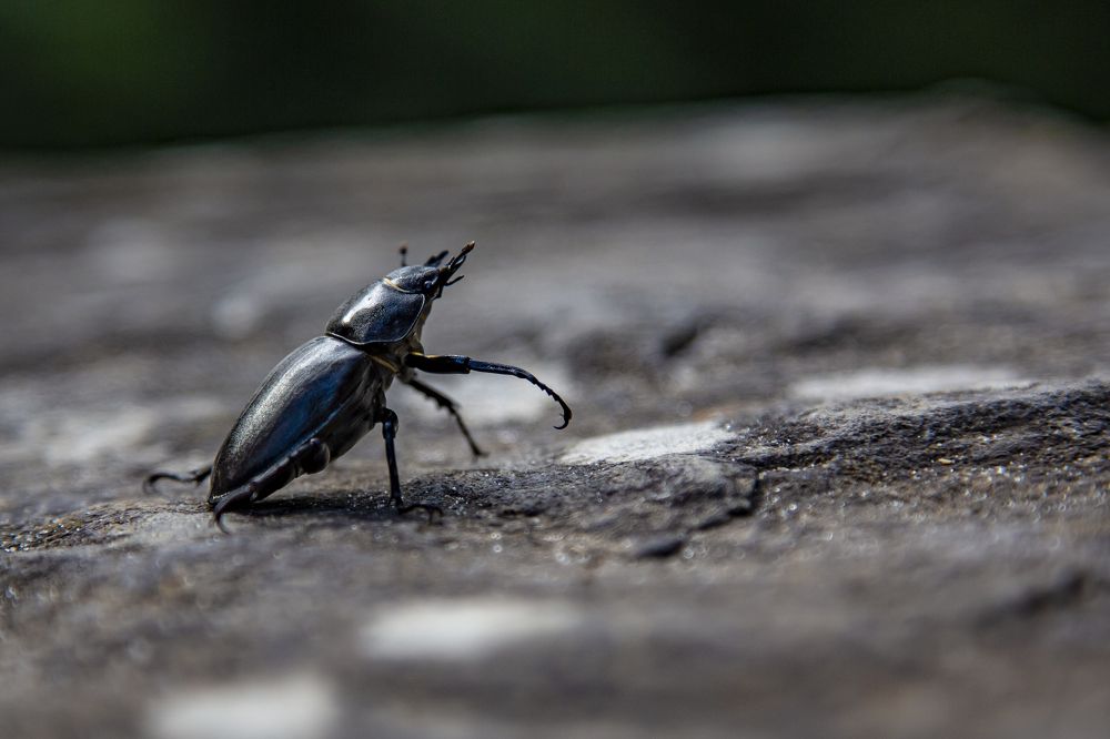 Photograph by Андрей Ларин