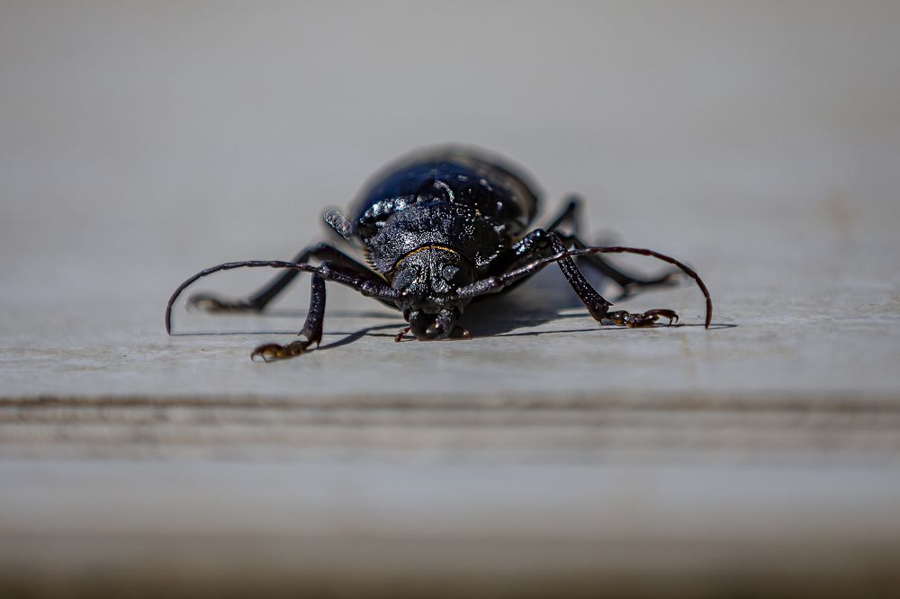 Photograph by Андрей Ларин