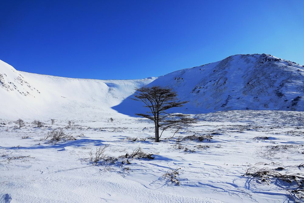 Photograph by Евгения Казакова